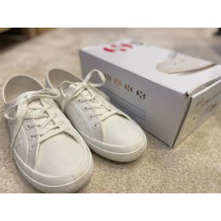 スペルガ(SUPERGA)のSUPERGA 白　レインスニーカー(スニーカー)