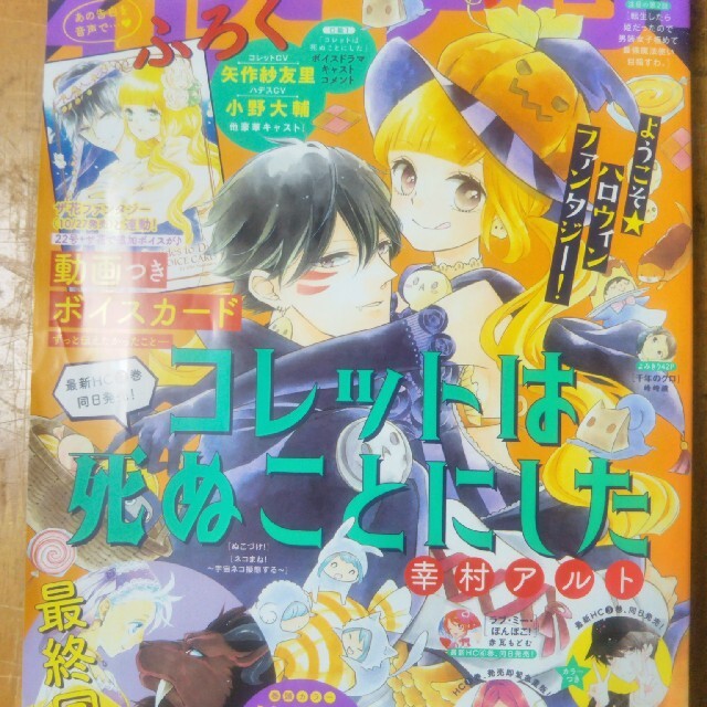 白泉社(ハクセンシャ)の花とゆめ 2020年 11/5号 エンタメ/ホビーの雑誌(アート/エンタメ/ホビー)の商品写真