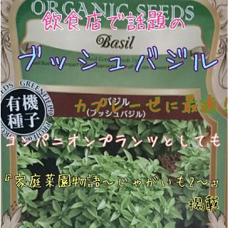 姉様専用(野菜)