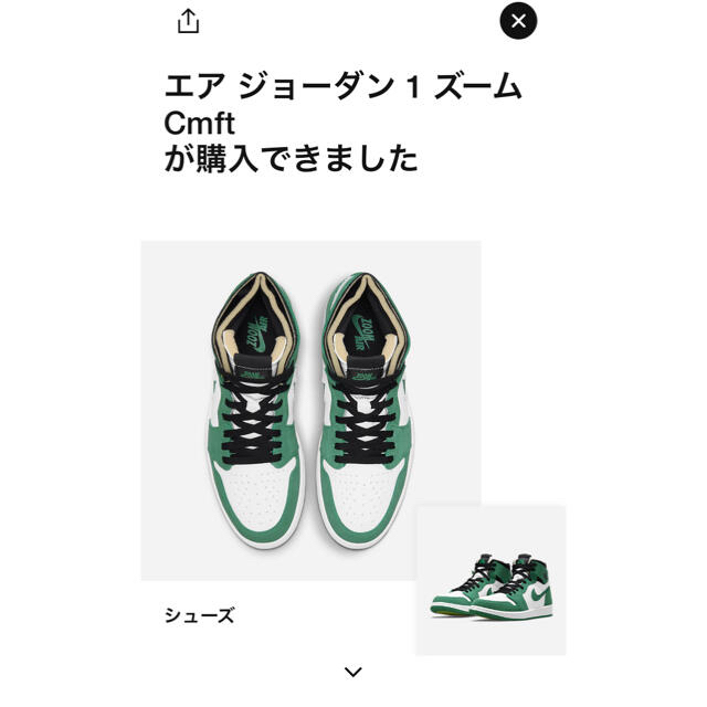 NIKE ジョーダン1 zoom