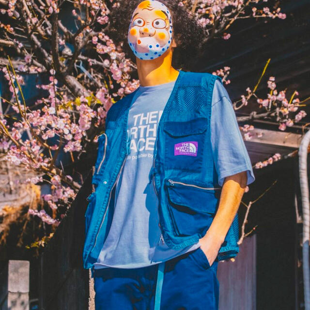 THE NORTH FACE(ザノースフェイス)の新品 PALACE NORTH FACE PURPLE LABEL ベスト L メンズのトップス(ベスト)の商品写真