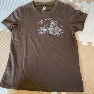 マーモット(MARMOT)のMarmot  Tシャツ　レディース(登山用品)