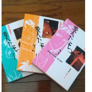 愛人たち 全巻 里中満智子(全巻セット)