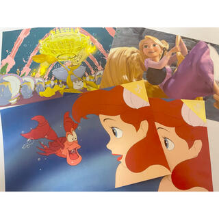 ディズニー(Disney)のディズニー　プリンセス　25周年　ポストカードセット(その他)