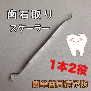 歯石取り スケーラー 口内ケア オーラルケア ペットにも☆(口臭防止/エチケット用品)