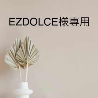 フレームワーク(FRAMeWORK)のEZDOLCE様専用(ロングワンピース/マキシワンピース)