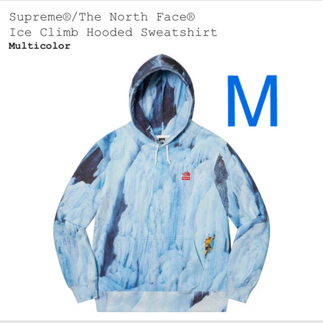 Supreme The North Face Ice Climb Hooded