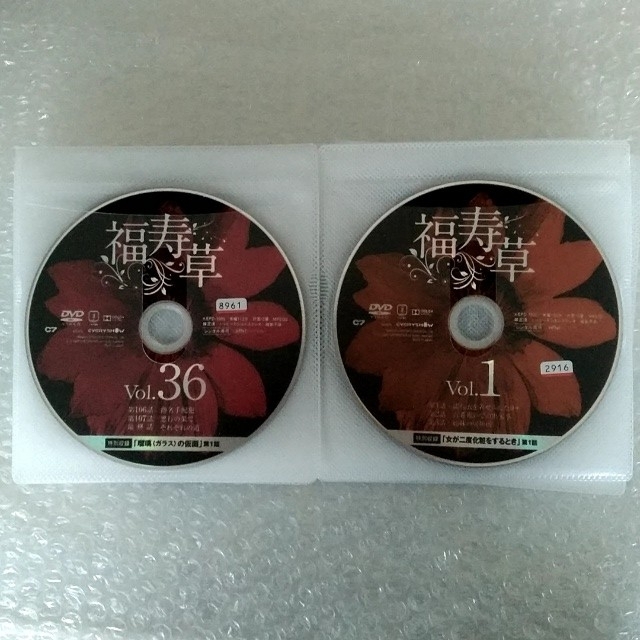 DVD「福寿草〈全36巻〉」レンタル落ち DVD「福寿草〈全36巻〉」レンタル落ち