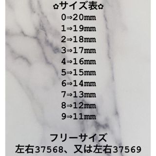 ネイルチップ ポケモン メタモン ピカチュウ ネイルチップ ポケモン メタモン ピカチュウ