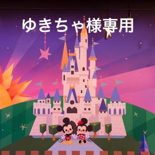 ディズニー(Disney)のゆきちゃ様専用(カトラリー/箸)