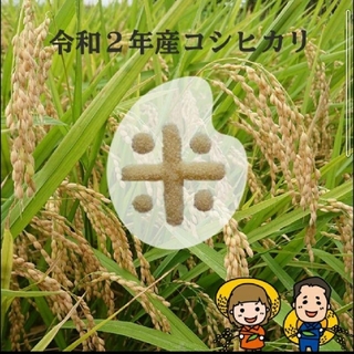 SKY様専用です😊コシヒカリ精米24kg(米/穀物)