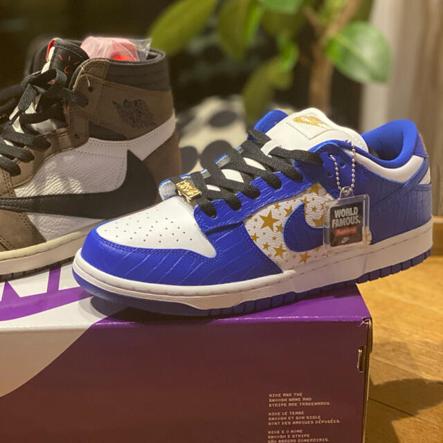 Supreme®︎/Nike®︎ SB Dunk Low Color/Blue Supreme®︎/Nike®︎ SB Dunk Low Color/Blue