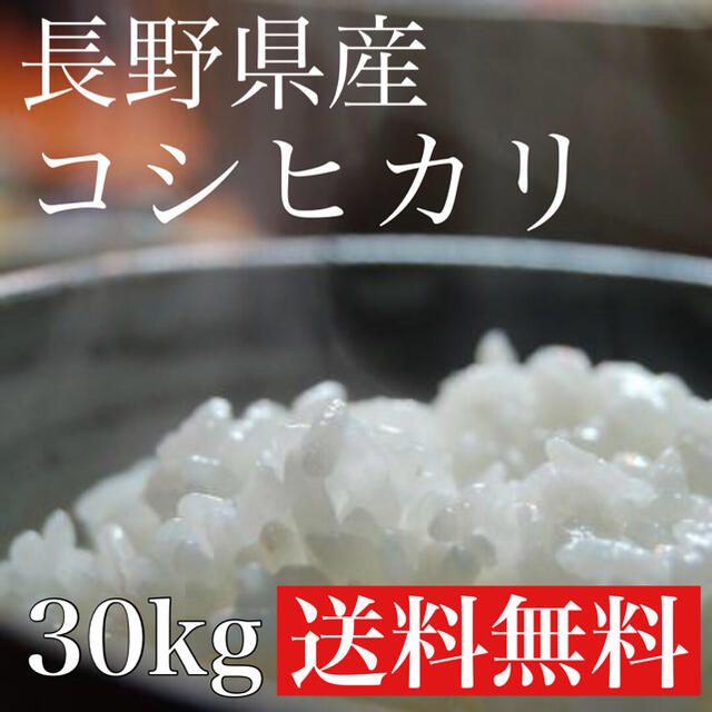 お米　令和2年度】新米　コシヒカリ　（5kg×6）長野県産　白米30kg　米/穀物