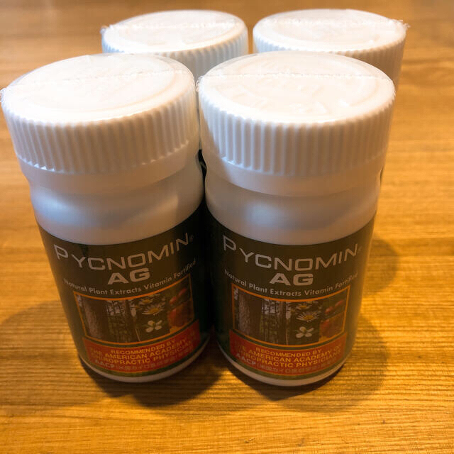 ピクノミンAG 120粒入り×4本 | casaronald.org.mx