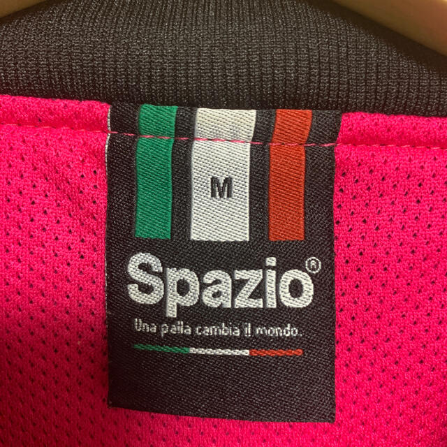 NOVESPAZIO(ノーベスパジオ)のspazio  ナイロン系素材　ロングTシャツ M 品番45 メンズのトップス(Tシャツ/カットソー(七分/長袖))の商品写真