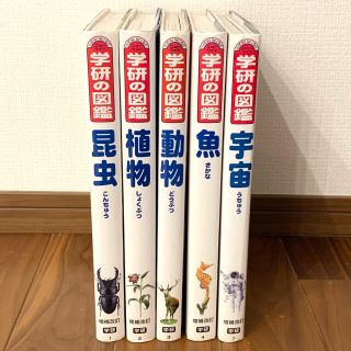 ガッケン(学研)の【学研の図鑑】昆虫 植物 動物 魚 宇宙 5冊セット(ノンフィクション/教養)