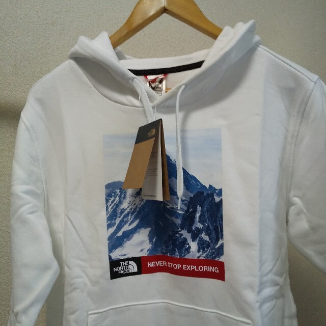 メンズＴＮＦmountain hoodie