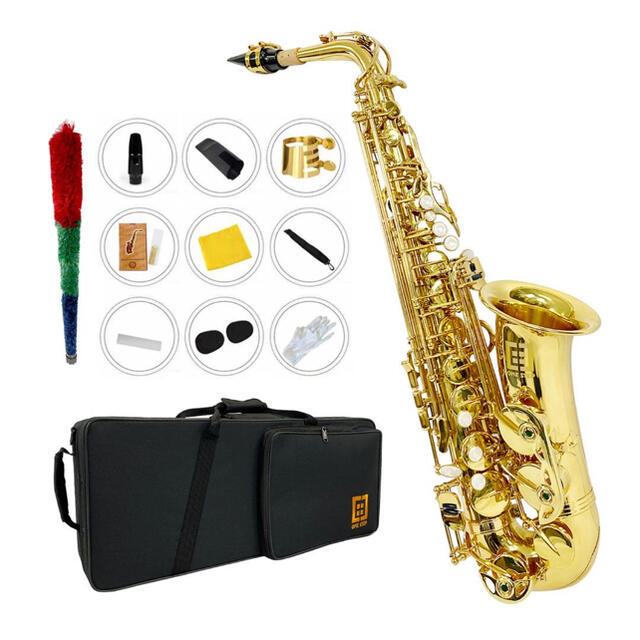 アルトサックス11点セット E Saxophone ゴールドラッカー ケース付き