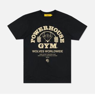 ナイキ(NIKE)の新品未使用darc sport POWERHOUSE OF THE WOLVES(Tシャツ/カットソー(半袖/袖なし))