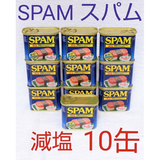 スパム 減塩 10缶 340g ポークランチョンミート SPAM 沖縄ホーメル