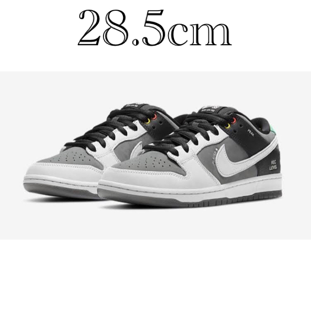 NIKE SB DUNK LOW PRO ISO CAMCORDER