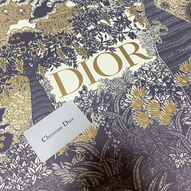 Dior(ディオール)のDior♡ブックトート    らーさん専用 レディースのバッグ(トートバッグ)の商品写真