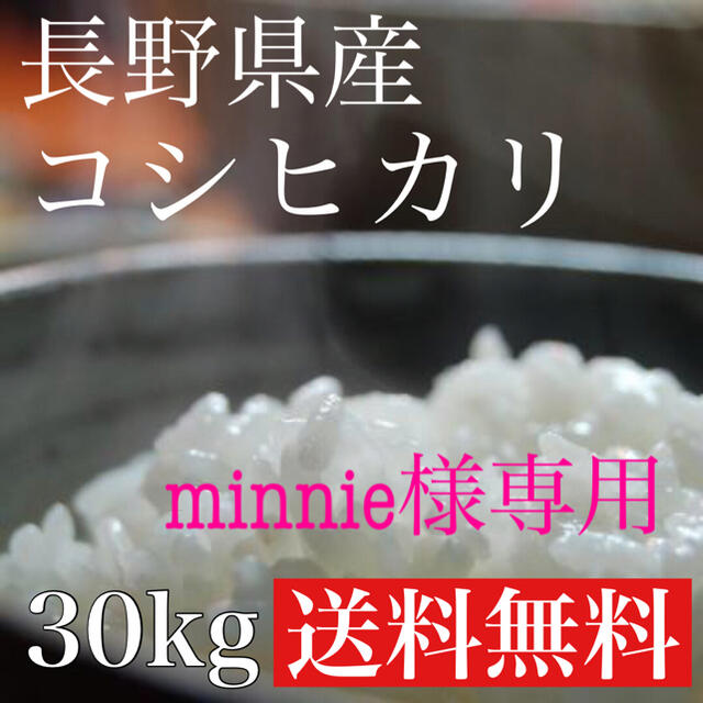 お米　令和2年度】新米　コシヒカリ　（5kg×6）長野県産　白米30kg　米/穀物