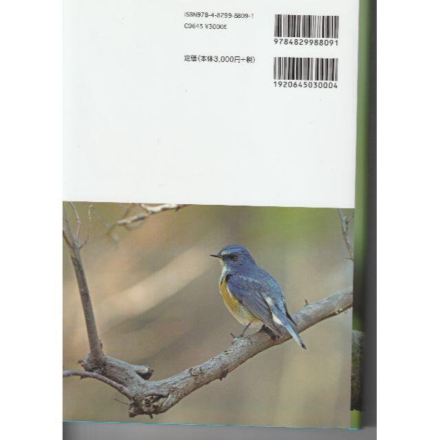 鳴き声から調べる野鳥図鑑—おぼえておきたい85種 (音声データCD付き)送料無料 エンタメ/ホビーの本(趣味/スポーツ/実用)の商品写真