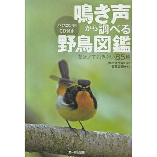 鳴き声から調べる野鳥図鑑—おぼえておきたい85種 (音声データCD付き)送料無料(趣味/スポーツ/実用)