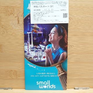 small worlds スモールワールズ東京特別パスポート(遊園地/テーマパーク)