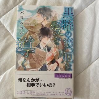 黒曜の災厄は愛を導く　　六青みつみ(ボーイズラブ(BL))