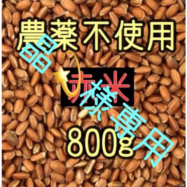 もち玄米□ヒメノモチ【10㎏】一等米☆農家直送