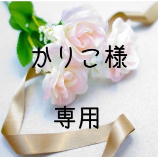 かりこ様専用  お米　令和２年　愛媛県産コシヒカリ　玄米　30㎏(米/穀物)