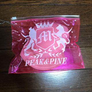 サンアイミズギラクエン(三愛水着楽園)の水着用パッド【未使用】　PEAK&PINE(水着)