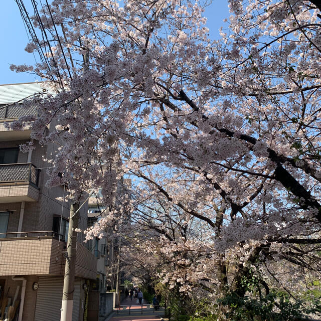 専用 コスメ/美容のスキンケア/基礎化粧品(フェイスクリーム)の商品写真