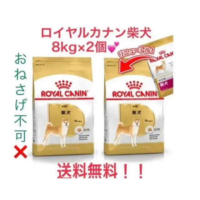 ROYAL CANIN - ロイヤルカナン 柴犬 成犬 ドライフード8kg×2個の通販