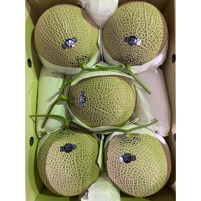 静岡 高級アールスメロン 白5玉 隔離栽培 アローマフルーツ