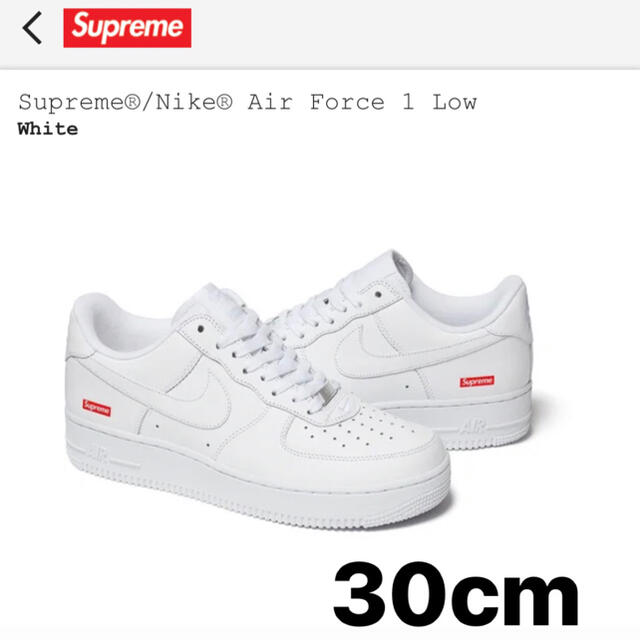 エアーフォース1supreme air force 1 nike シュプリーム　30cm ナイキ