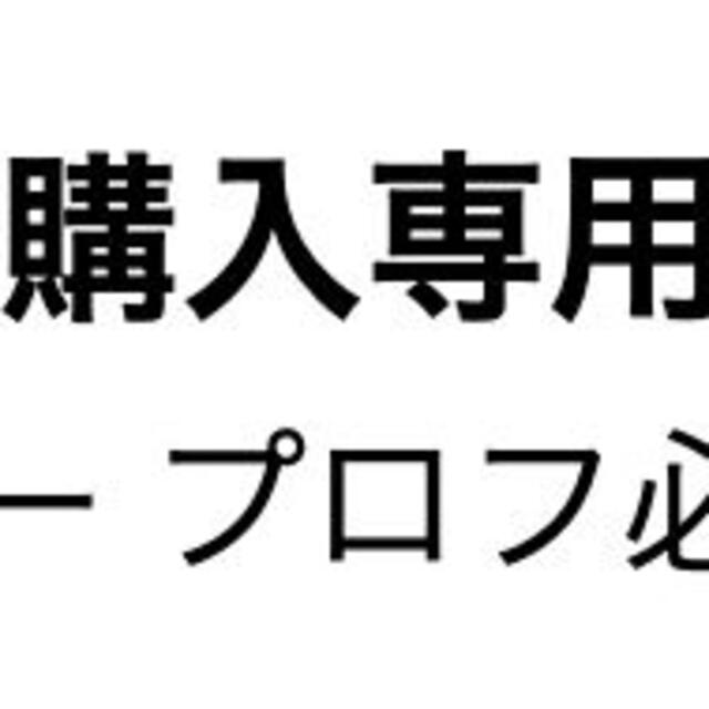 さゆりー プロフ必読さん専用 その他のその他(その他)の商品写真