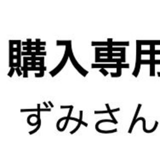 ずみさん専用(その他)