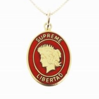 シュプリーム(Supreme)のsupreme 19SS 14K Gold Libertad Pendant (ネックレス)