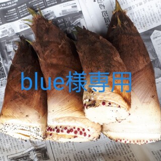 たけのこ 4kg 千葉県産 blue様専用(野菜)