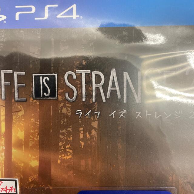 Life is Strange 2（ライフ イズ ストレンジ 2） PS4 - 家庭用ゲームソフト