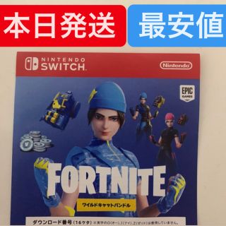 Nintendo Switch Fortnite ワイルドキャットバンドル