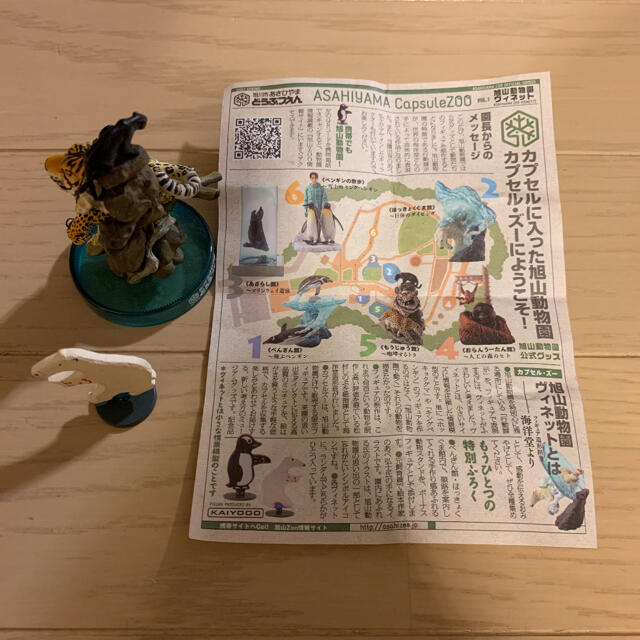 北海道フィギュアみやげ ガチャガチャ 旭山動物園