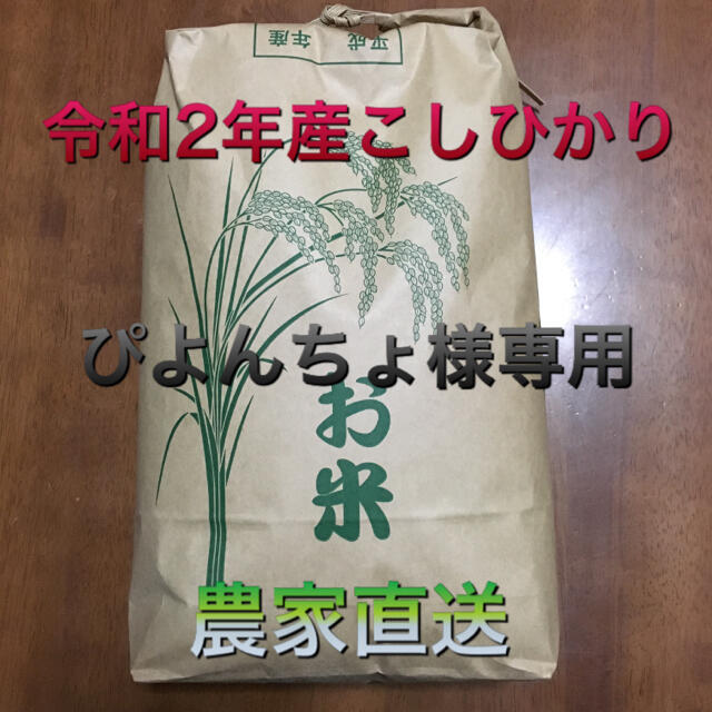 令和2年産コシヒカリ　5kg ぴよんちょ様専用 食品/飲料/酒の食品(米/穀物)の商品写真