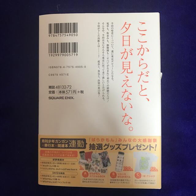 ばらかもん １３ エンタメ/ホビーの漫画(少年漫画)の商品写真