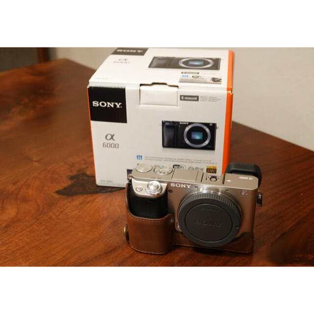 Sony α6000 一年保証