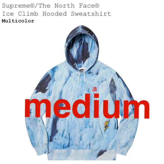 Supreme North Face Ice Climb Hooded  M