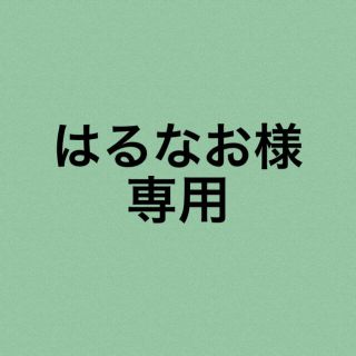 はるなお様　専用(その他)